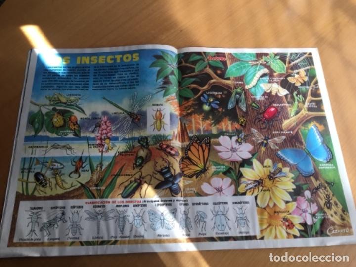 C&oacute;mics: Petete 41 - Foto 3
