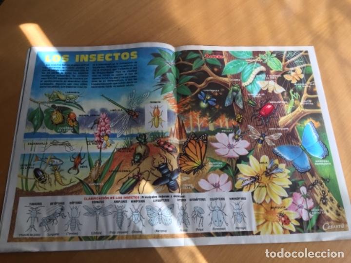 C&oacute;mics: Petete 41 - Foto 4