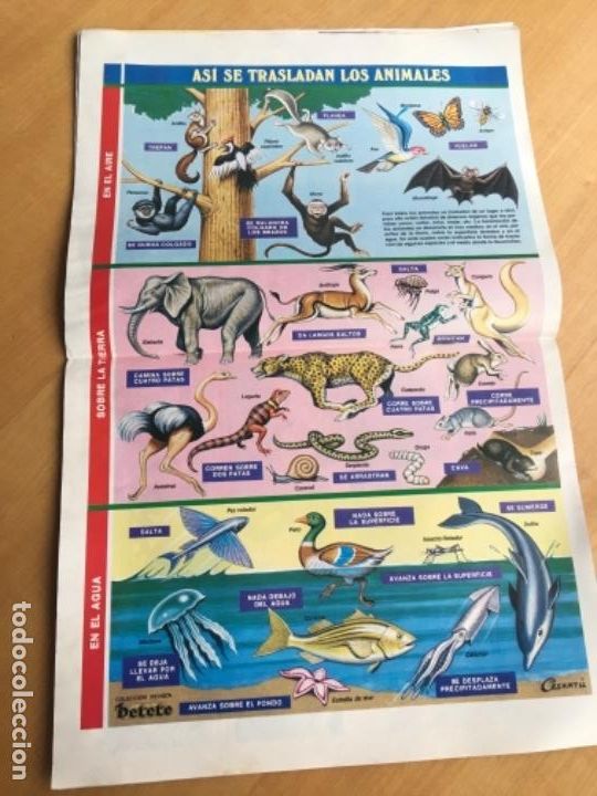 C&oacute;mics: Petete 46 - Foto 3