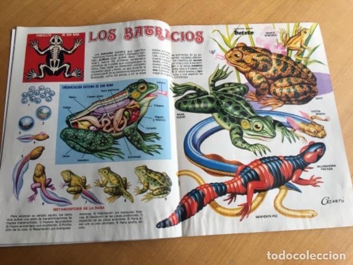 C&oacute;mics: Petete 48 - Foto 2