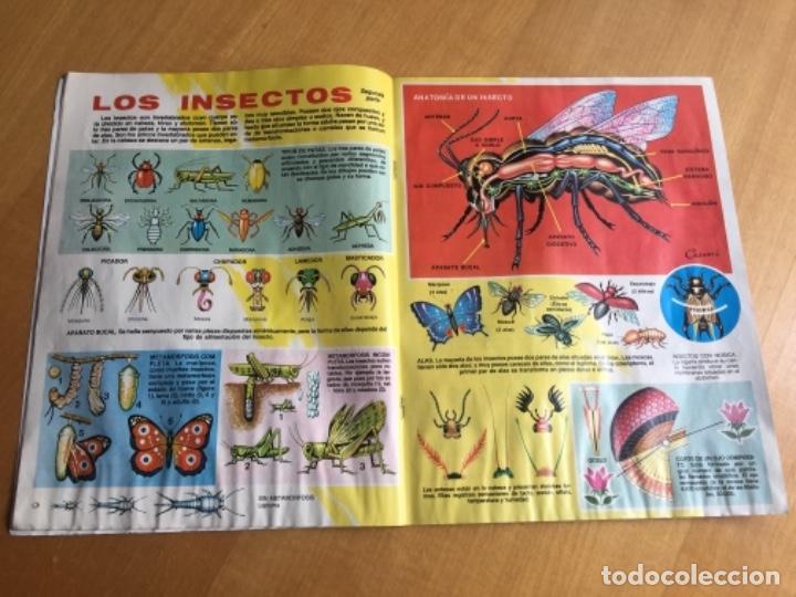 C&oacute;mics: Petete 54 - Foto 3