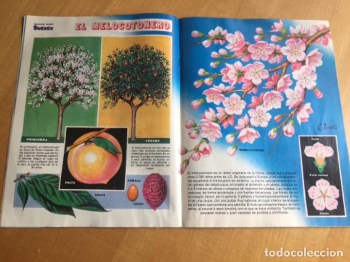C&oacute;mics: Petete 65 - Foto 2
