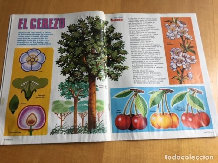 C&oacute;mics: Petete 125 - Foto 2