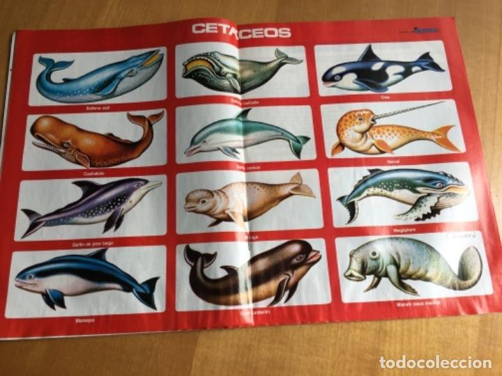 C&oacute;mics: Petete 128 - Foto 2