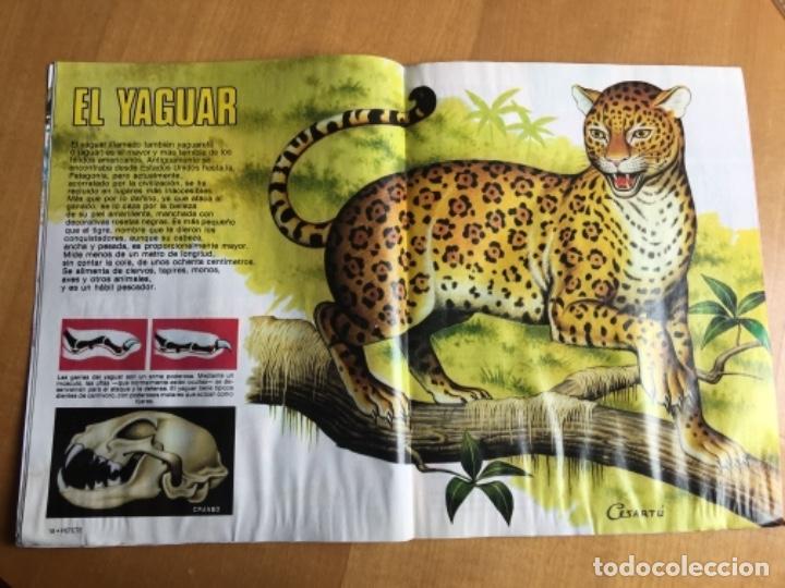 C&oacute;mics: Petete 142 - Foto 3