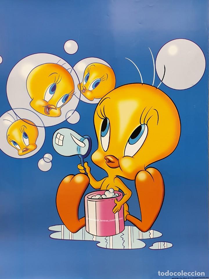 C&oacute;mics: PIOLIN BURBUJAS. WARNER BROS 1996. MAMAGRAF - Foto 1