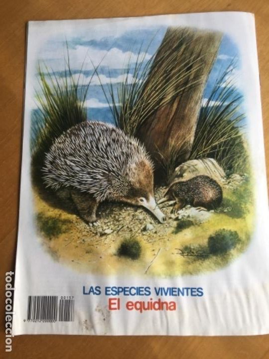 C&oacute;mics: Petete 157 - Foto 3