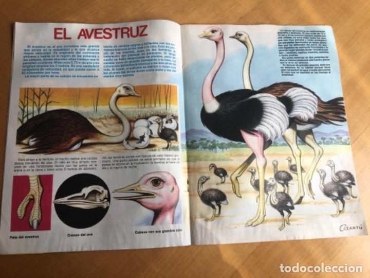 C&oacute;mics: Petete 159 - Foto 2