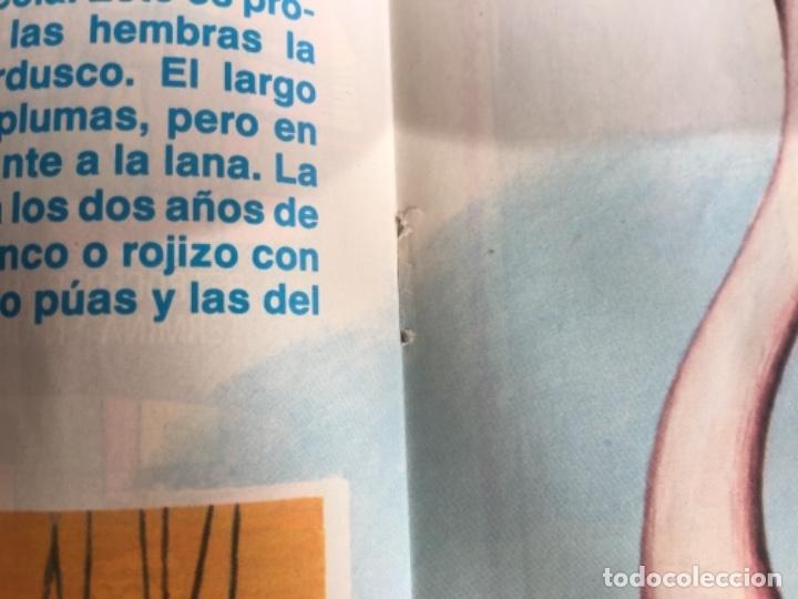 C&oacute;mics: Petete 159 - Foto 3