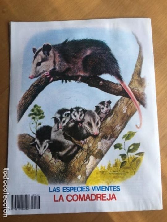 C&oacute;mics: Petete 166 - Foto 4