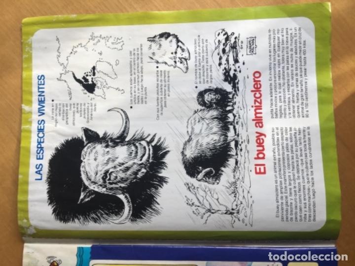 C&oacute;mics: Petete 167 - Foto 3