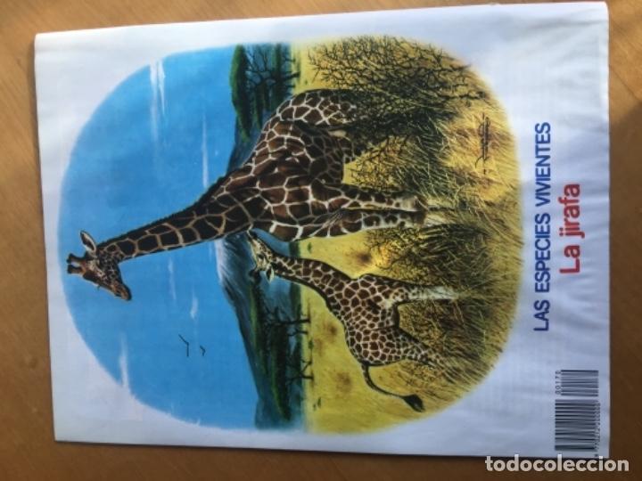 C&oacute;mics: Petete 170 - Foto 4