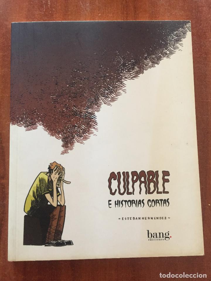 C&oacute;mics: Culpable - Foto 1
