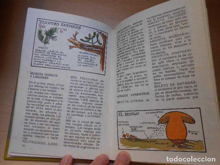 C&oacute;mics: MANUAL DE YOGUI. HANNA-BARBERA. MONTENA - Foto 6