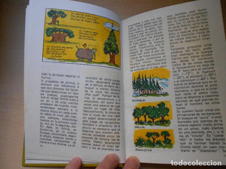 C&oacute;mics: MANUAL DE YOGUI. HANNA-BARBERA. MONTENA - Foto 8