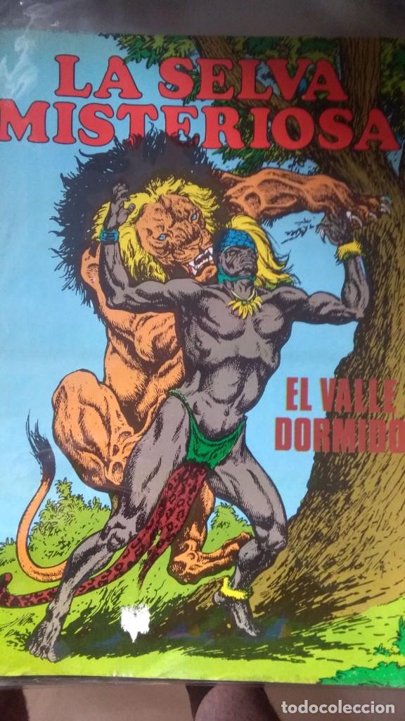 C&oacute;mics: LA SELVA MISTERIOSA 3-EL VALLE DORMIDO # D - Foto 1