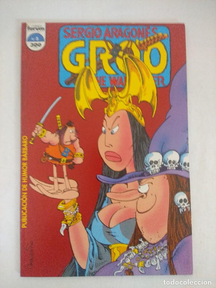 C&oacute;mics: GROO THE WANDERER -SERGIO ARAGONES N&ordm;5/FORUM. - Foto 1