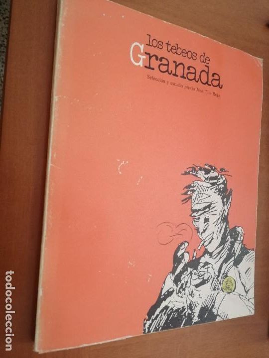 Comics: LOS TEBEOS DE GRANADA. JOSE TITO ROJO. GRAN TOMO. BUEN ESTADO PERO LOMO TOCADO