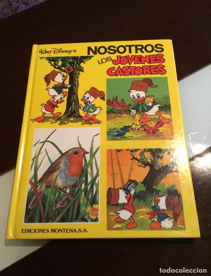 C&oacute;mics: Nosotros los j&oacute;venes castores ediciones Montena impecable - Foto 1