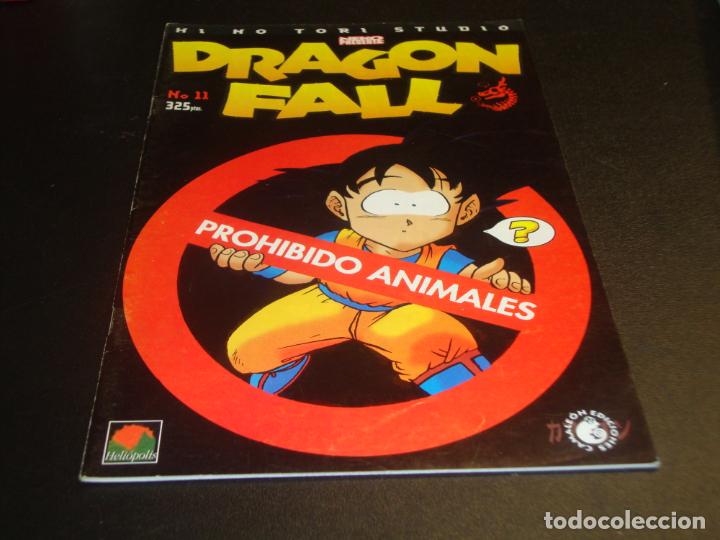 C&oacute;mics: Dragon Fall 11 - Foto 1