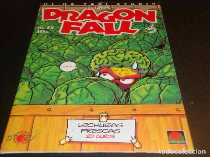 C&oacute;mics: Dragon Fall 23 - Foto 1