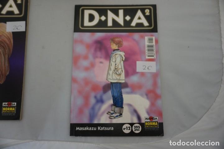 Fumetti: 17A/ D N A 2 - MASAKAZU KATSURA - N&ordm; 12 / NORMA EDITORIAL