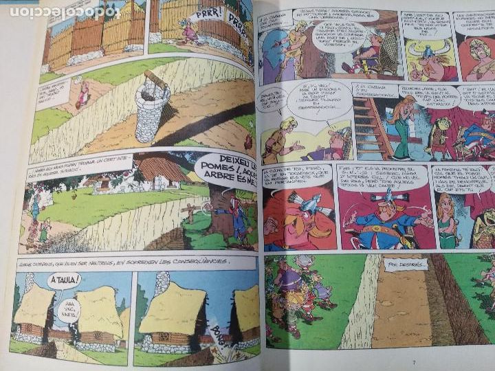 C&oacute;mics: ast&eacute;rix , la gran rasa - ediciones junior - catal&agrave; - COB - Foto 2