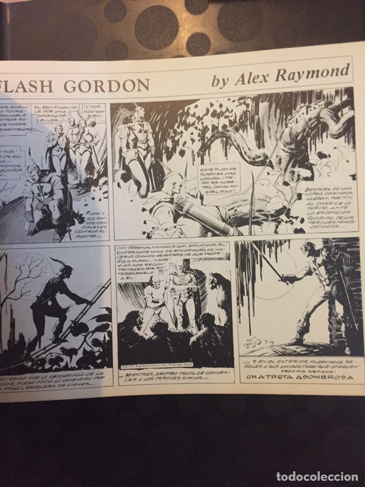 C&oacute;mics: FLASH GORDON de ALEX RAYMOND VOLUMEN V / 5 EDICIONES B. O. ( 1980 ). - Foto 4