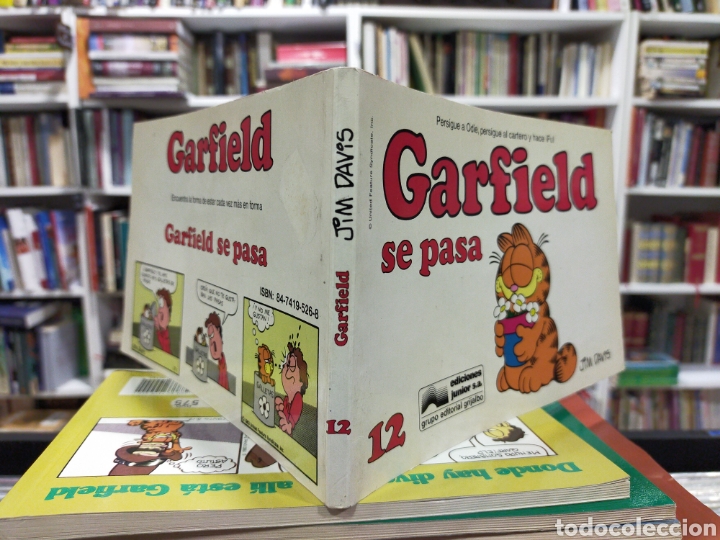 C&oacute;mics: GARFIELD - GARFIELD SE PASA - 12 - JIM DAVIS - Foto 3