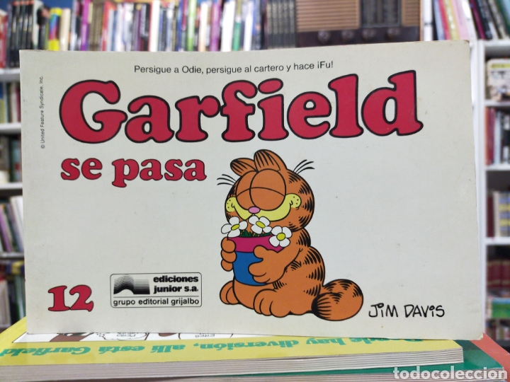 C&oacute;mics: GARFIELD - GARFIELD SE PASA - 12 - JIM DAVIS - Foto 1