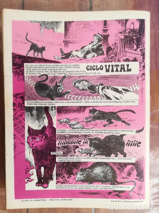 C&oacute;mics: RUFUS. N&ordm; 4. IBERO MUNDIAL - Foto 2
