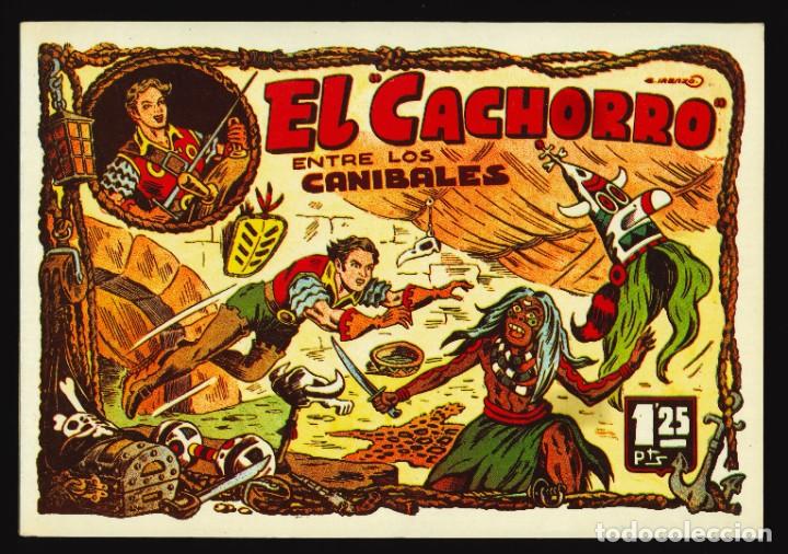 C&oacute;mics: EL CACHORRO - IBERCOMIC / TOMO 4 - Foto 1