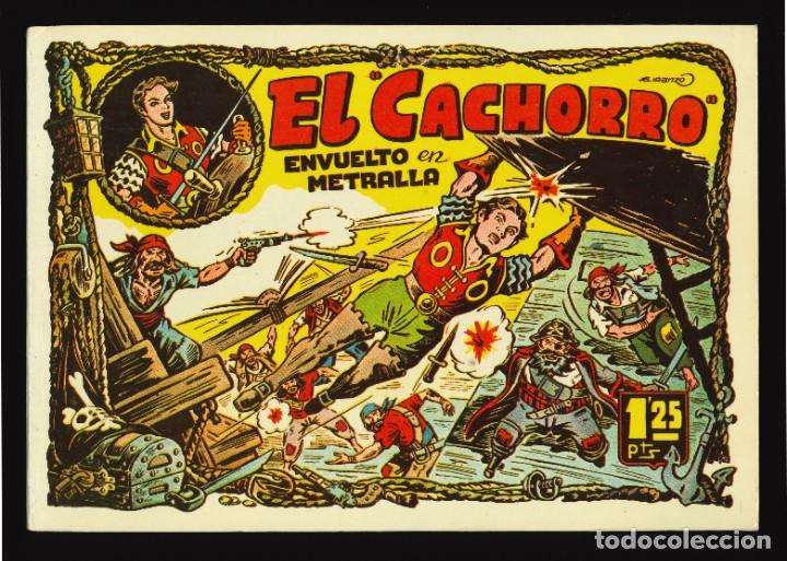 C&oacute;mics: EL CACHORRO - IBERCOMIC / TOMO 6 - Foto 1