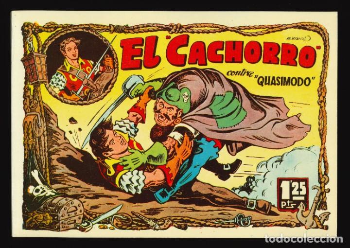 C&oacute;mics: EL CACHORRO - IBERCOMIC / TOMO 8 - Foto 1