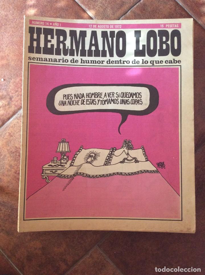 C&oacute;mics: Hermano Lobo.Ediciones Pl&eacute;yades - Foto 1