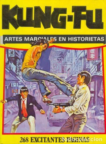 C&oacute;mics: KUNG-FU ARTES MARCIALES EN HISTORIETAS - Foto 1