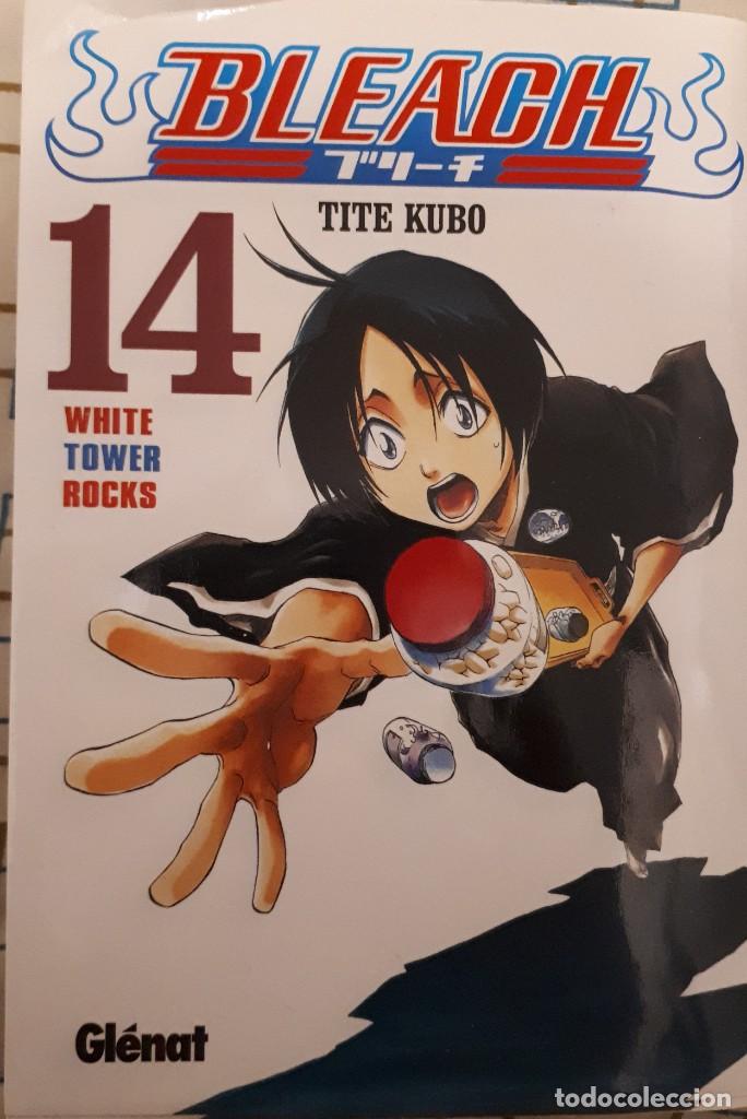C&oacute;mics: Bleach N&ordm;14 &ndash; Tite Kubo - Foto 1
