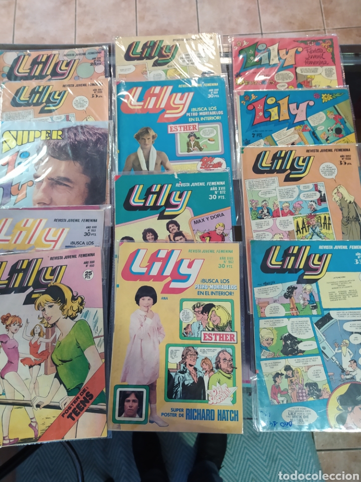 C&oacute;mics: 13 c&oacute;mics Lili distintas fechas todos - Foto 1
