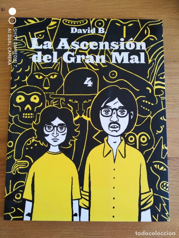 C&oacute;mics: La ascensi&oacute;n del gran mal. David B. Sins entido 2004. Comic - Foto 1