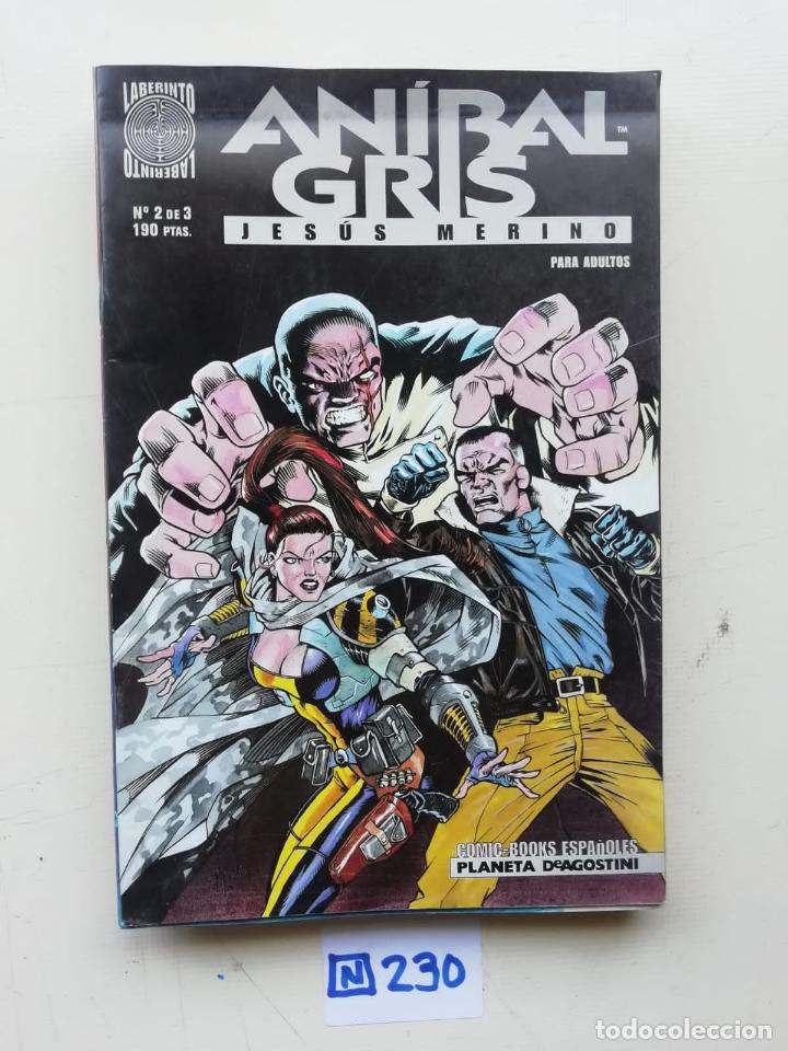 C&oacute;mics: Anibal Gris - Foto 1