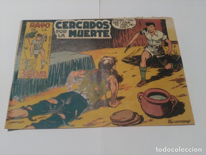 C&oacute;mics: Rayo de la Selva n&ordm;3 - Foto 1