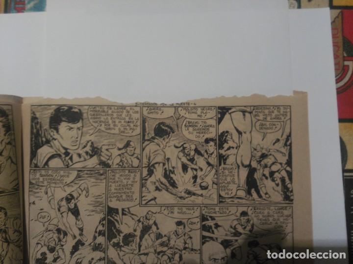 C&oacute;mics: Rayo de la Selva n&ordm;3 - Foto 2
