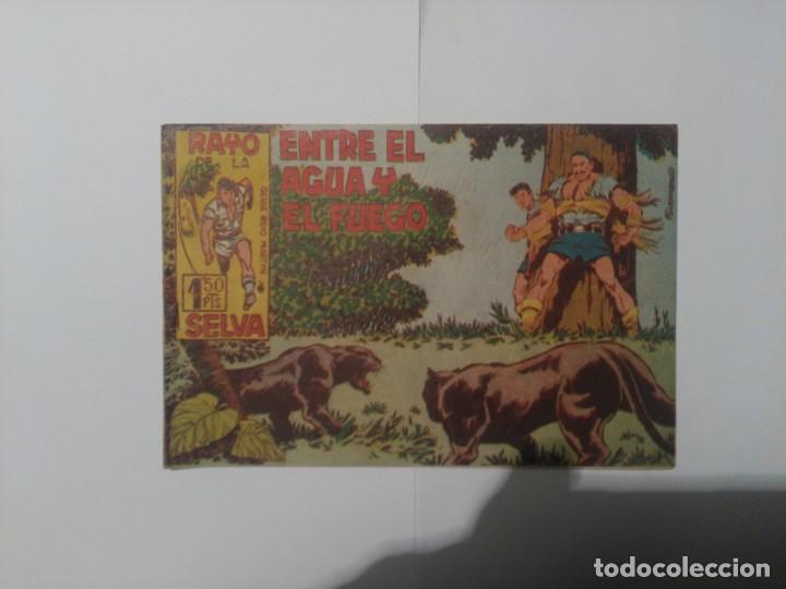 C&oacute;mics: Rayo de la Selva n&ordm;15 - Foto 1
