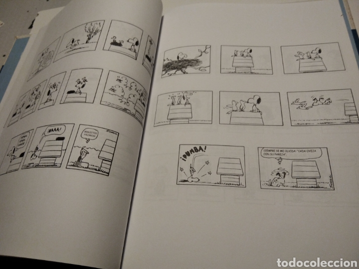 C&oacute;mics: Charlie Brown c&oacute;mic - Foto 8