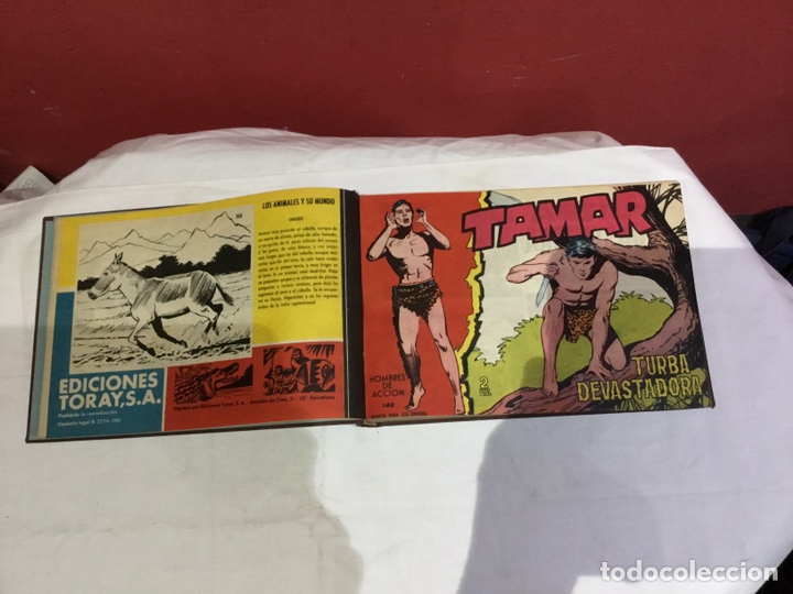 Cómics: Coleccion completa de 41 ejemplares Tamar originales encuadernados.de 145a186-editorial toray 1961 - Foto 3 - 243335980