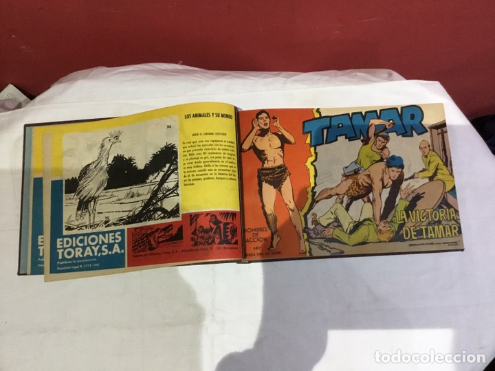 Cómics: Coleccion completa de 41 ejemplares Tamar originales encuadernados.de 145a186-editorial toray 1961 - Foto 4 - 243335980