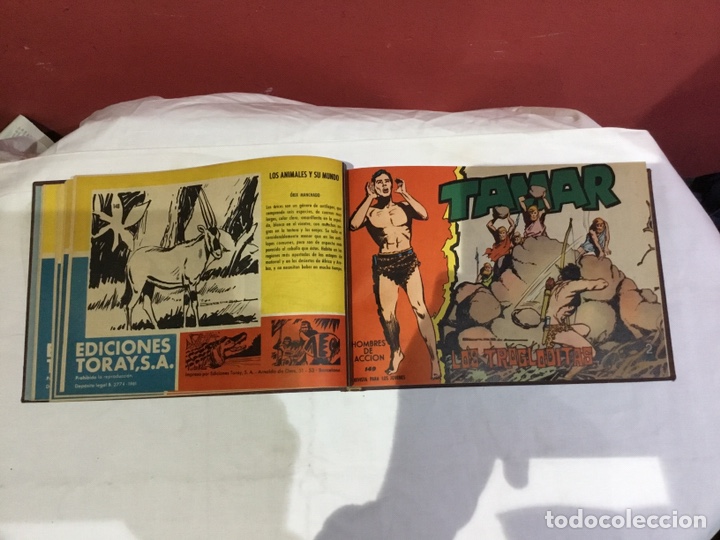 Cómics: Coleccion completa de 41 ejemplares Tamar originales encuadernados.de 145a186-editorial toray 1961 - Foto 6 - 243335980