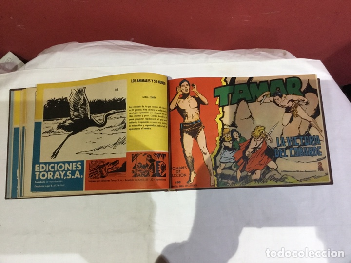 Cómics: Coleccion completa de 41 ejemplares Tamar originales encuadernados.de 145a186-editorial toray 1961 - Foto 7 - 243335980
