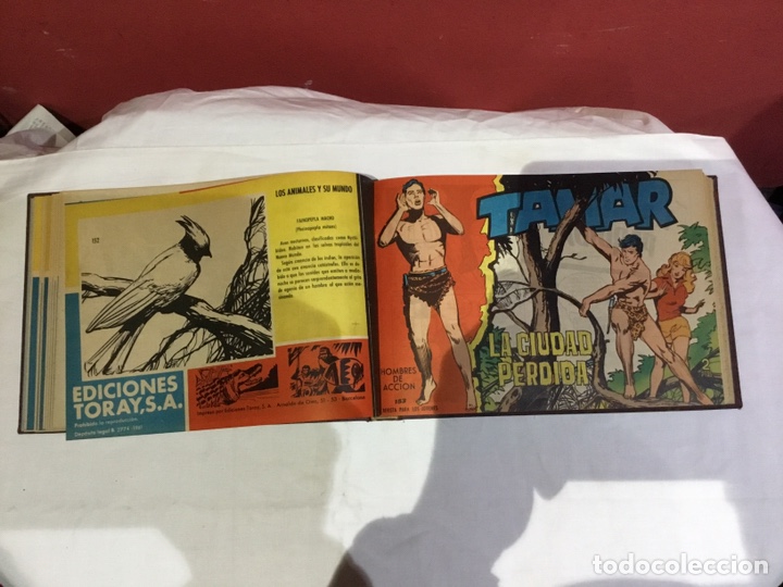 Cómics: Coleccion completa de 41 ejemplares Tamar originales encuadernados.de 145a186-editorial toray 1961 - Foto 10 - 243335980