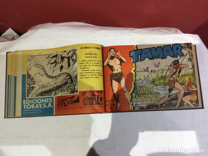 Cómics: Coleccion completa de 41 ejemplares Tamar originales encuadernados.de 145a186-editorial toray 1961 - Foto 11 - 243335980